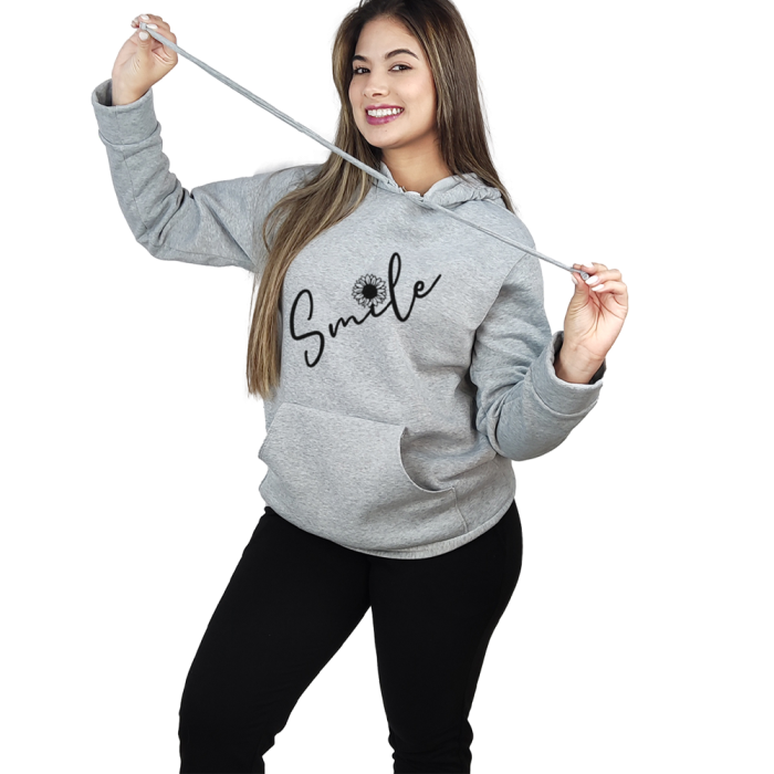 HD2463 GRIS